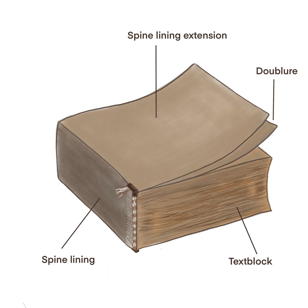 Figure 4 shows an illustration of the spine lining, extending the full length of the cover. Illustration by Maria Dobos Falzon.jpg