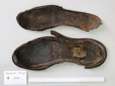 Save our skins! Archaeological Leather – Research and Conservation