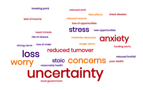 wordcloud coronavirus survey 2020.png